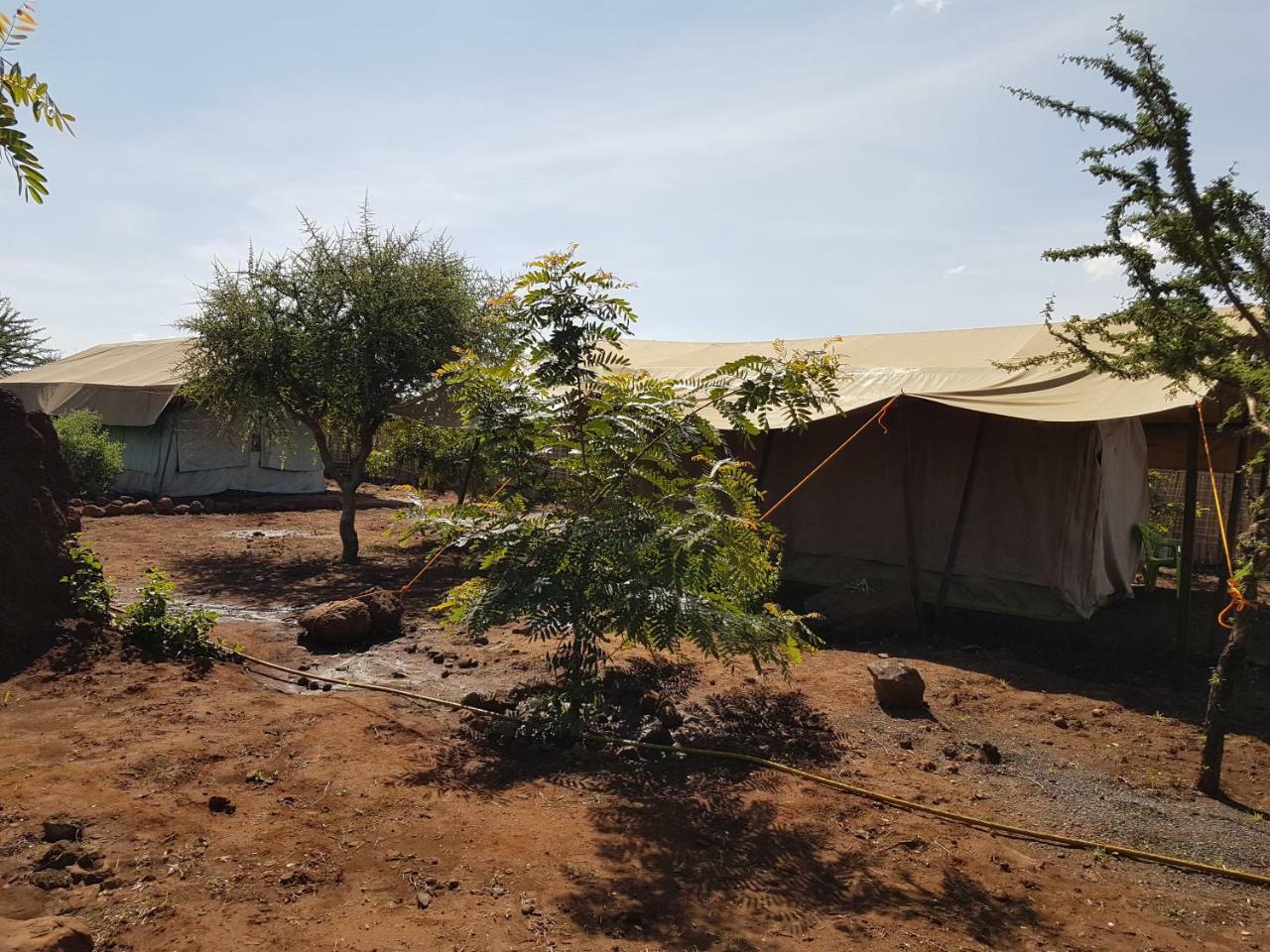 Kizumba Camp Site Hotel Manyara Kültér fotó